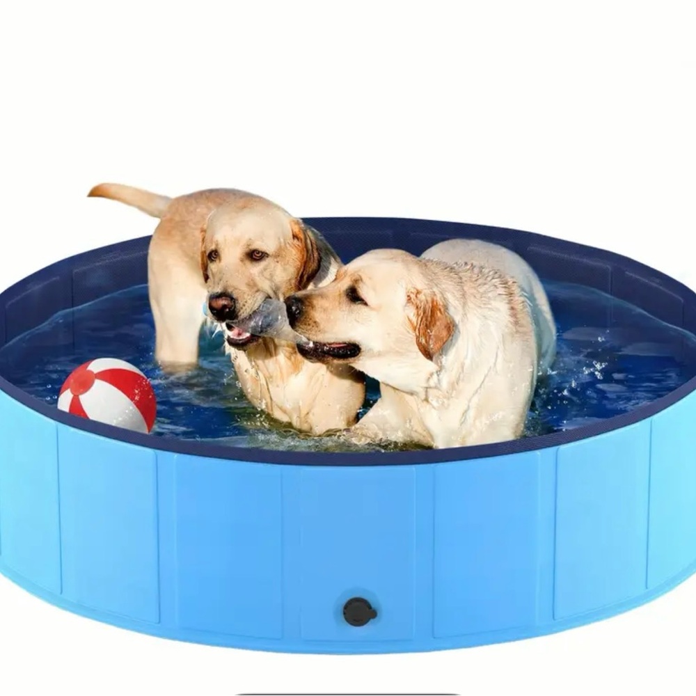 Portable dog pool